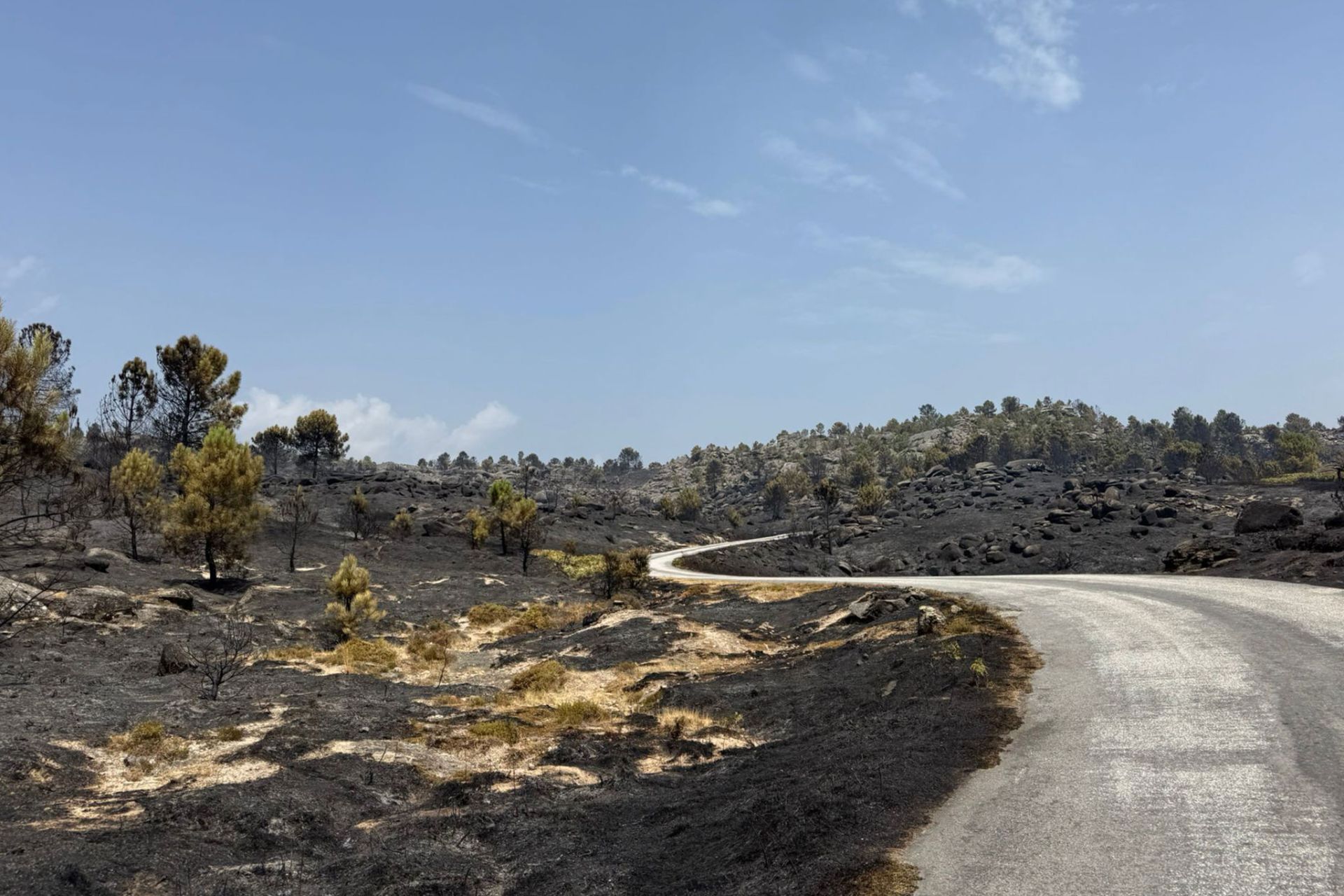 Autarquia aprova apoios excecionais na sequência dos incêndios florestais