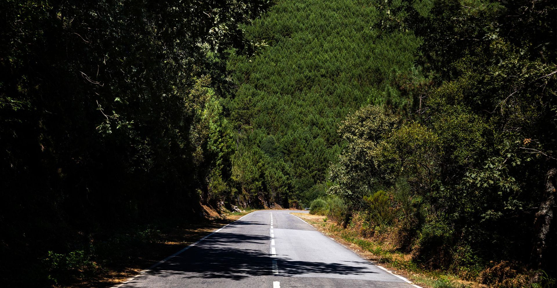 Município reforça vigilância florestal com instalação de câmaras de vigilância