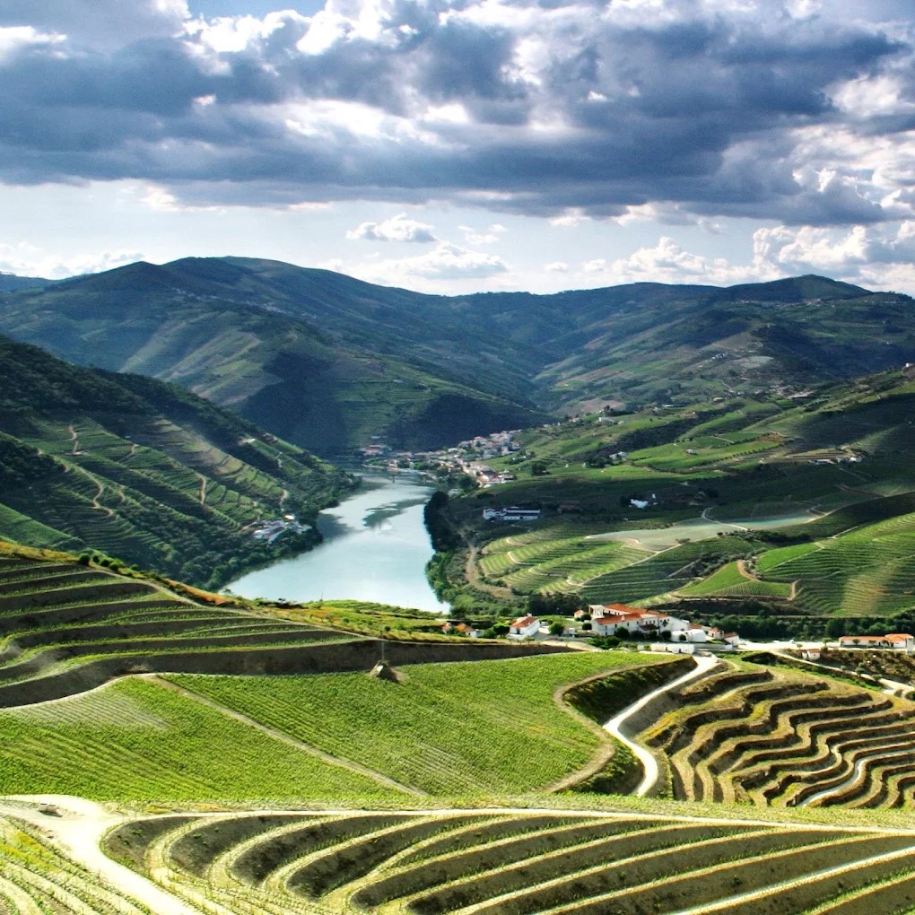 CIM Douro reúne com 19 Presidentes de Câmara dos municípios