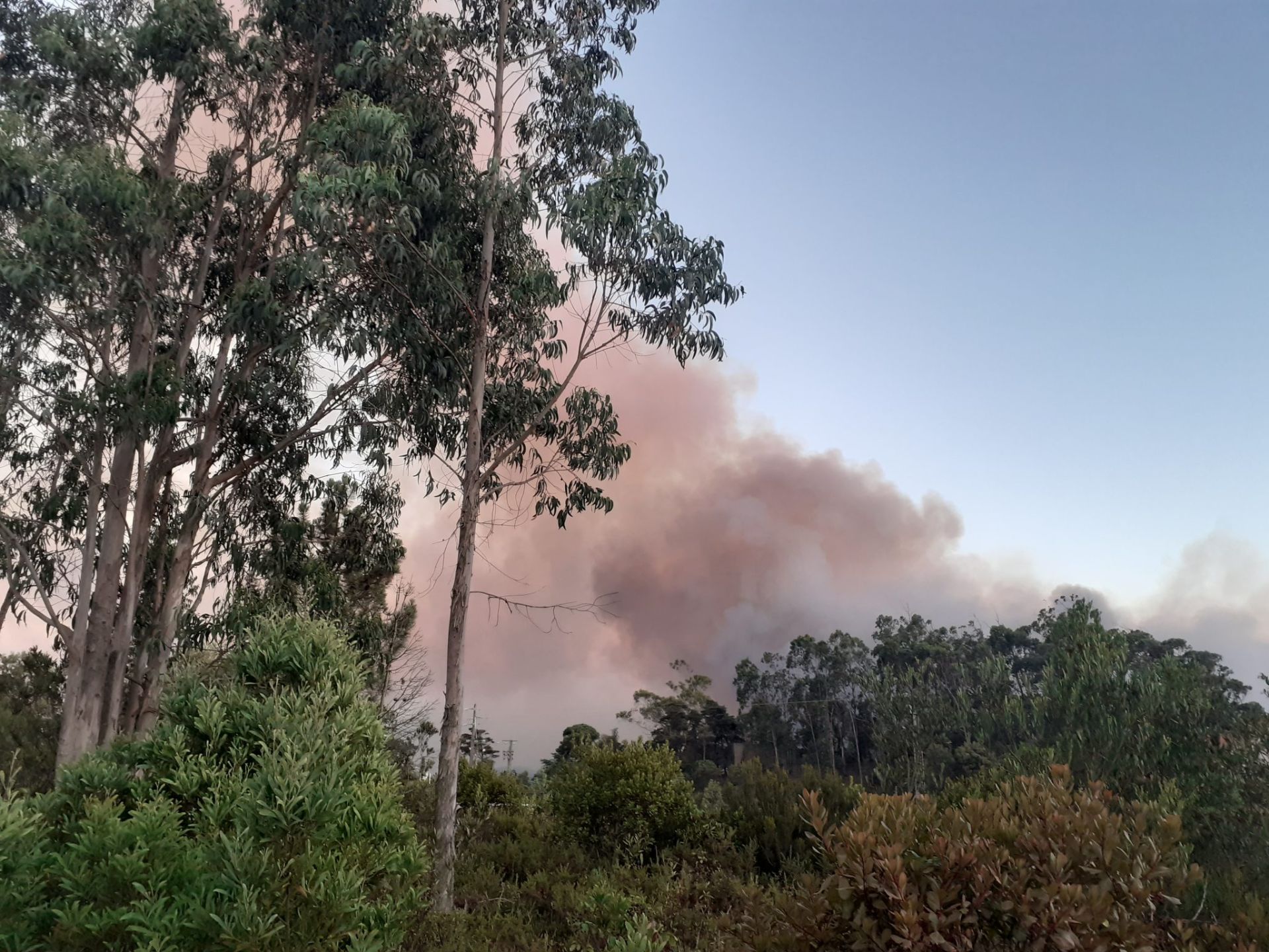 PJ detém mulher de 31 anos suspeita de incêndio florestal em Vila Real